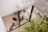 Miele Guard M1 Cat & Dog Padlóporszívó
