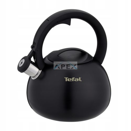 TEFAL N4180410 Matt fekete vízforraló 2,5l gáz
