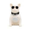 SAL BT DOG hordozható multimédia-hangszóró, 5 W, BT, FM rádió, ~5 óra üzemidő, USB, MicroSD