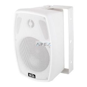   SAL BXB 100/8, 2 utas hangdoboz, 2 in 1, 60 W / 8 Ohm, 40 W / 100 V, Bass reflex, billenthető, forgatható