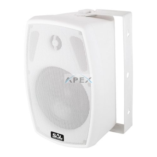 SAL BXB 100/8, 2 utas hangdoboz, 2 in 1, 60 W / 8 Ohm, 40 W / 100 V, Bass reflex, billenthető, forgatható